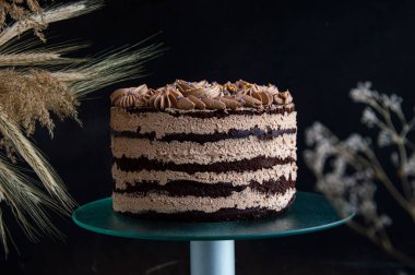 Pasta tepsisine izole edilmiş kek..