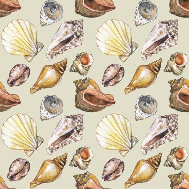 Suluboya kusursuz deniz kabuğu deseni. El çizimi çizimi. Tasarım afişi, poster, baskı, kartpostal, tekstil, şablon, kart için suluboya deniz kabuğu deseni