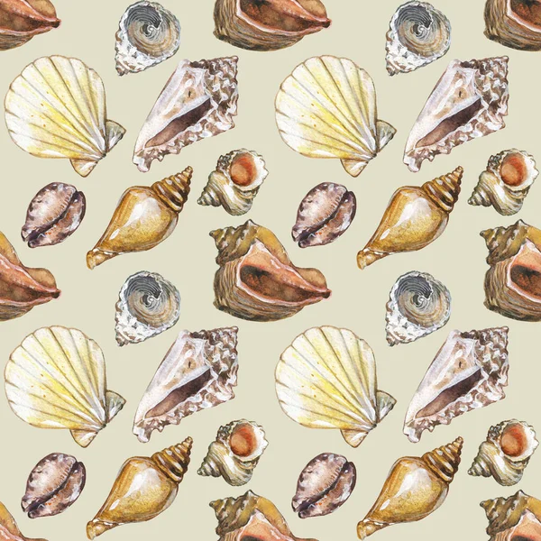 海贝壳的水色无缝图案 手绘插图 水色贝壳图案 用于设计横幅 印刷品 明信片 纺织品 — 图库照片#