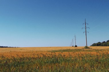 A golden field of wheat and high-voltage power lines