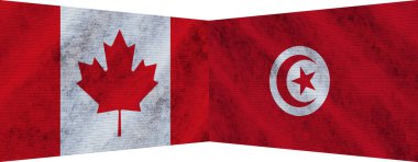 Tunus ve Kanada İki Bayrak Birlikte 3D Görüntü