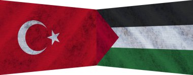 Filistin ve Türkiye 'de İki Bayrak Birlikte 3D Görüntü