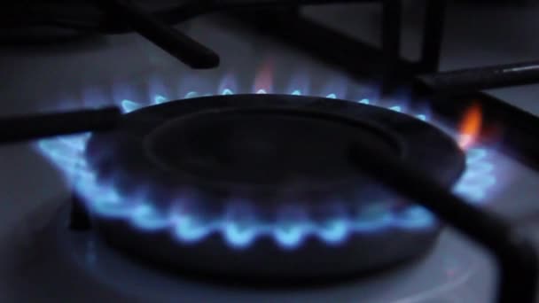 Blue Fire Stove Stove Burner Gas Burner — Stock Video