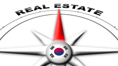 Güney Kore Küre Küresi Bayrak ve Pusula Konsepti Gayrimenkul Başlıkları 3D İllüstrasyon