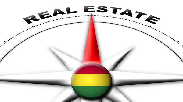 Bolivia Globe Sphere Flag Compass Concept Real Estate Titles Illustration — Stock fotografie