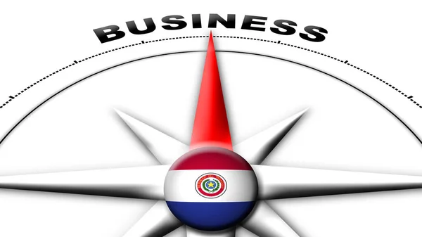 Paraguay Globe Sphere Flag Compass Concept Business Titles Illustration — Stock Photo, Image