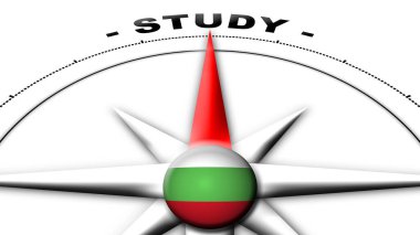 Afganistan Küre Küresi Bayrak ve Pusula Konsepti Çalışma Başlıkları 3D İllüstrasyon