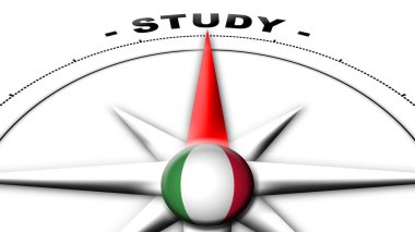 Afganistan Küre Küresi Bayrak ve Pusula Konsepti Çalışma Başlıkları 3D İllüstrasyon