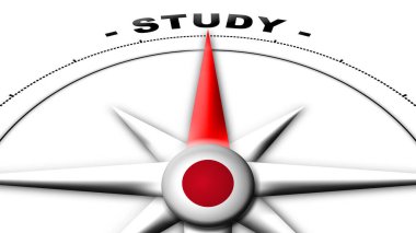 Afganistan Küre Küresi Bayrak ve Pusula Konsepti Çalışma Başlıkları 3D İllüstrasyon