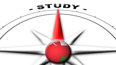 Afganistan Küre Küresi Bayrak ve Pusula Konsepti Çalışma Başlıkları 3D İllüstrasyon