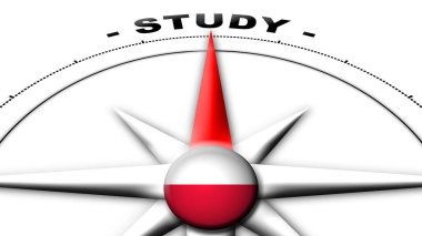 Afganistan Küre Küresi Bayrak ve Pusula Konsepti Çalışma Başlıkları 3D İllüstrasyon