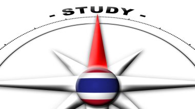 Afganistan Küre Küresi Bayrak ve Pusula Konsepti Çalışma Başlıkları 3D İllüstrasyon