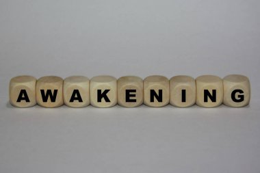 Unvan - Tahta Küpler Konsepti - Beyaz Arkaplan