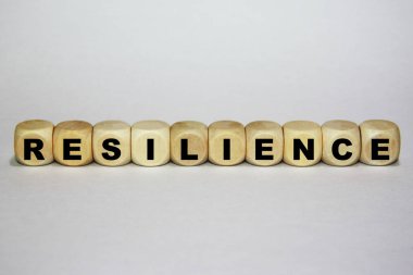 Dayanıklılık Başlığı - Tahta Küpler Konsepti - Beyaz Arkaplan