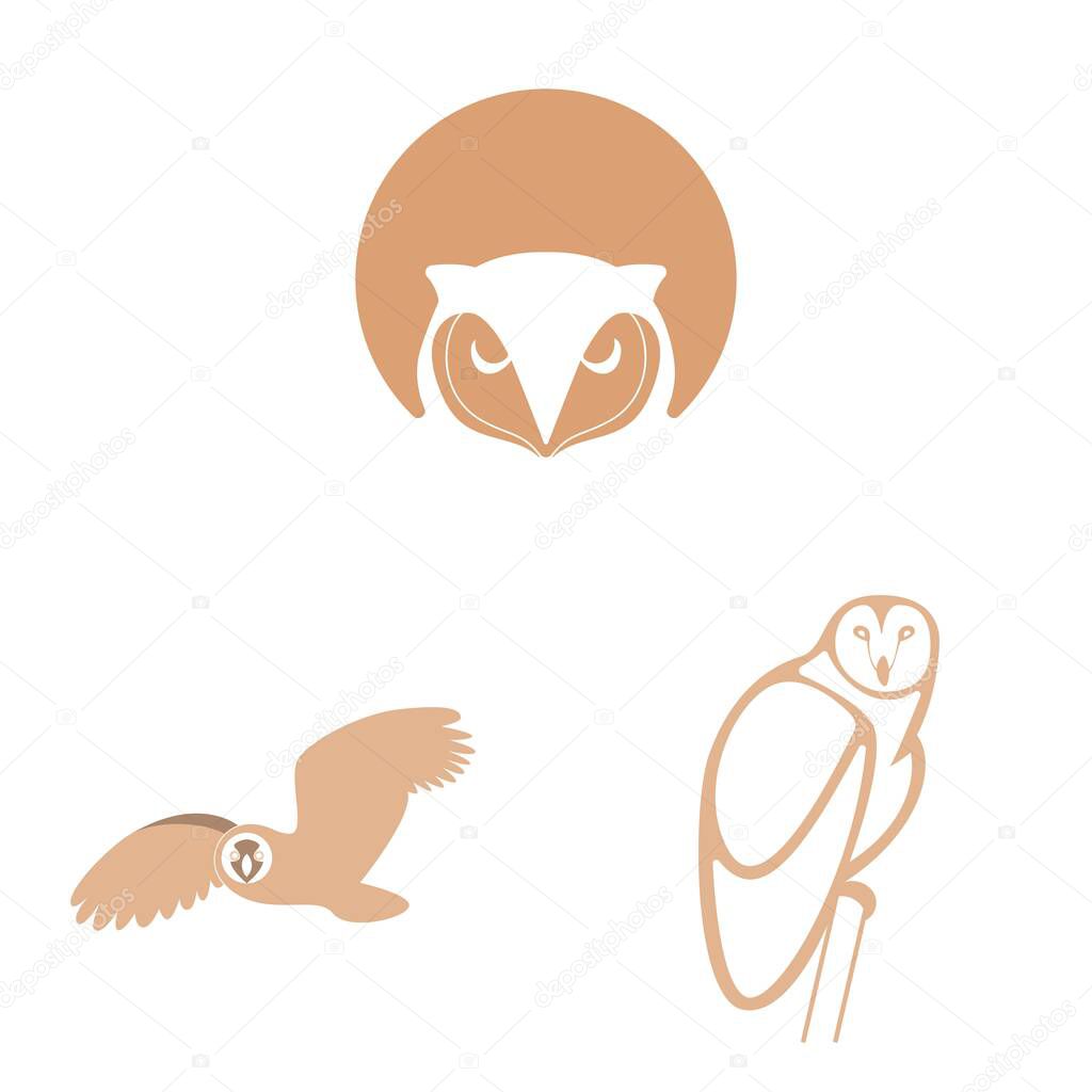 Vector set of animal owls with different styles