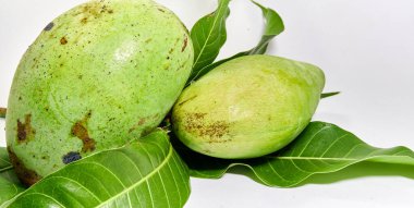 Taze mango meyvesi yakın çekim. Vitamin meyvesi. Lezzetli mango yemeye hazır..