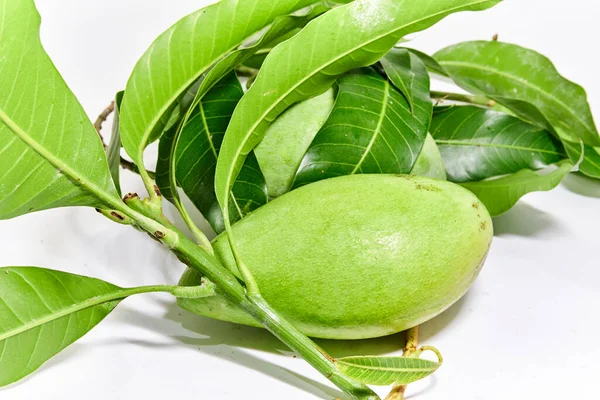 Taze mango meyvesi yakın çekim. Vitamin meyvesi. Lezzetli mango yemeye hazır..