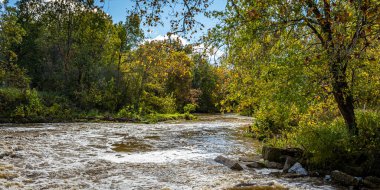 Sonbahar yapraklarının renk değişimi sırasında Indiana, Parke County 'deki Nyesville yakınlarındaki Little Raccoon Deresi' nin taşması sonrasında aşırı su..