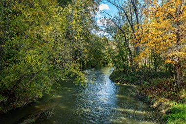 Sonbahar yapraklarının renk değişimi sırasında Indiana, Parke County 'deki Waveland yakınlarındaki Little Raccoon Creek' in kıyılarında sağanak yağmur sonrası aşırı su.