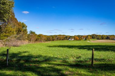 Sonbahar yapraklarının renk değişimi sırasında Indiana, Parke County 'de kırsal bir yol boyunca tarım arazileri.