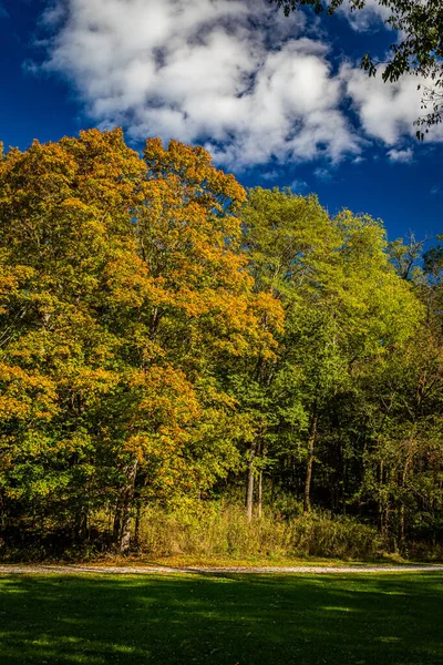 Dia Outubro Condado Parke Indiana Mostra Cores Das Folhas Outono — Fotografia de Stock