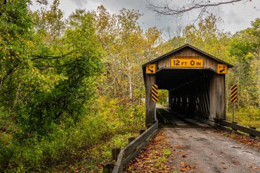 Ashtabula İlçesi, Ohio 'daki Sonbahar Yaprak Renk Değişikliği sırasında Ashtabula Nehri' ni geçen Olin Dewey Kapalı Köprüsü.