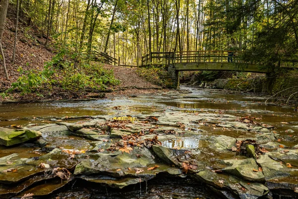俄亥俄州秋季叶色变化期间 Deerlick Creek从Cuyahoga Valley国家公园Bridal Veil Falls上游不远 — 图库照片