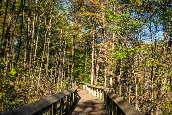 Brandywine Gorge Trail Autumn Leaf Color Change Cuyahoga Valley National — Fotografia de Stock