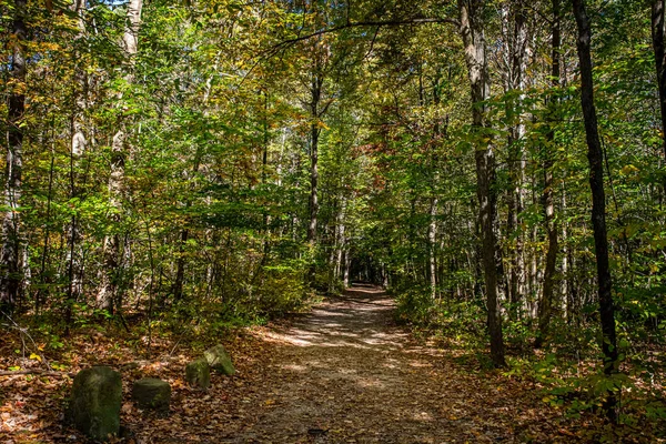 Trees Ledges Trail Autumn Leaf Color Change Cuyahoga Valley National — Fotografia de Stock