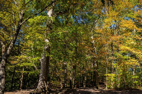 Trees Ledges Trail Autumn Leaf Color Change Cuyahoga Valley National — Fotografia de Stock