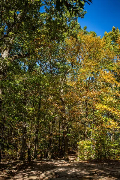 Trees Ledges Trail Autumn Leaf Color Change Cuyahoga Valley National — Foto de Stock