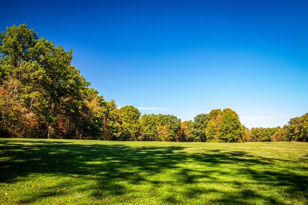 Trees Ledges Trail Autumn Leaf Color Change Cuyahoga Valley National — Fotografia de Stock