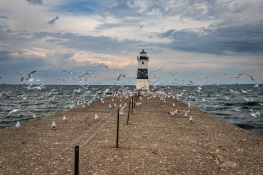 Seagulls find the Channel Lighthouse pier at Presque Isle on Lake Erie to be a popular roosting spot.