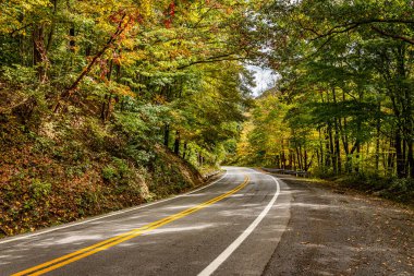 A winding road through the countryside in the Appalachian Mounntain area of West Virginia during the Autumn leaf color change.