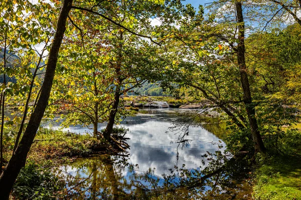New River Gorge Ulusal Parkı 'ndaki Sandstone Şelalesi' nde Hinton, Batı Virginia yakınlarındaki sonbahar yapraklarının renk değişimi sırasında muhafaza edilir..