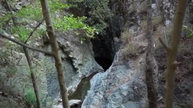 Taşlar ve yosun kaplı kütükler arasında küçük bir nehir. Sabit çekim yavaş çekim