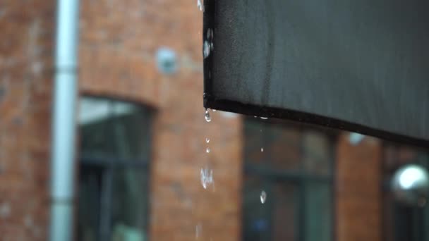 Regentropfen tropfen von einem Zeltstoff — Stockvideo