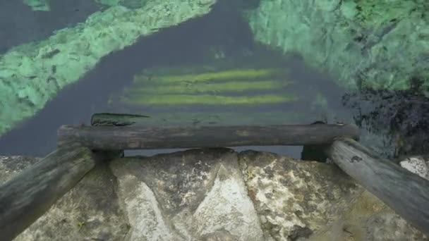 Escaleras de madera en un hermoso agua clara cenote — Vídeos de Stock