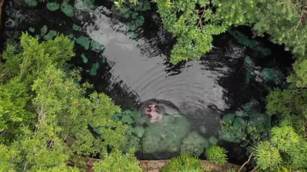 Jovem morena nadar em uma piscina natural de um cenote no México. Tiro aéreo — Vídeo de Stock