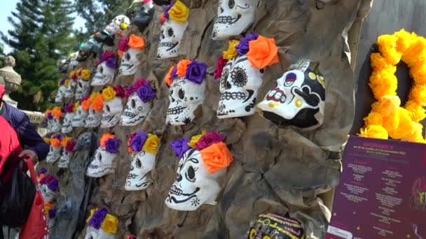 Teschi umani dipinti per il Mexicos Day of the Dead. El Dia de Muertos — Video Stock