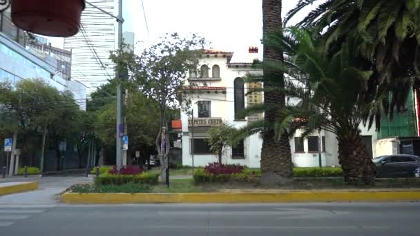 Cidade do México, Casa Branca e palmeiras no centro perto de estrada e palmeiras — Vídeo de Stock