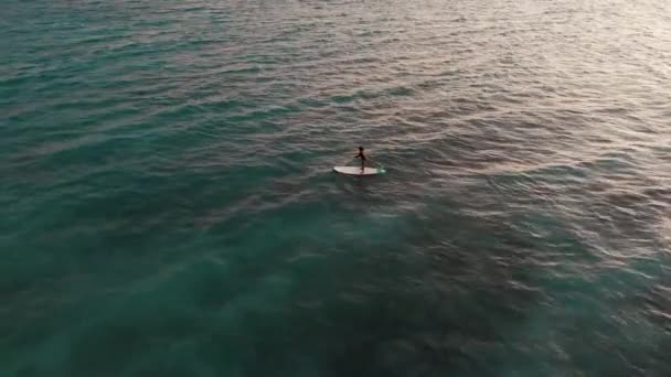 Luchtfoto van de mens oefenen paddle board bij zonsondergang op prachtige plaats — Stockvideo