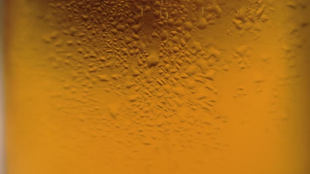 Extrém közeli sör üvegben. Mozog a hab. Alkohol. Buborékok üvegen — Stock videók