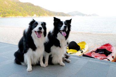 Sarı ışık ve süsleme toplarıyla çevrili dikey altın Noel ağacı.