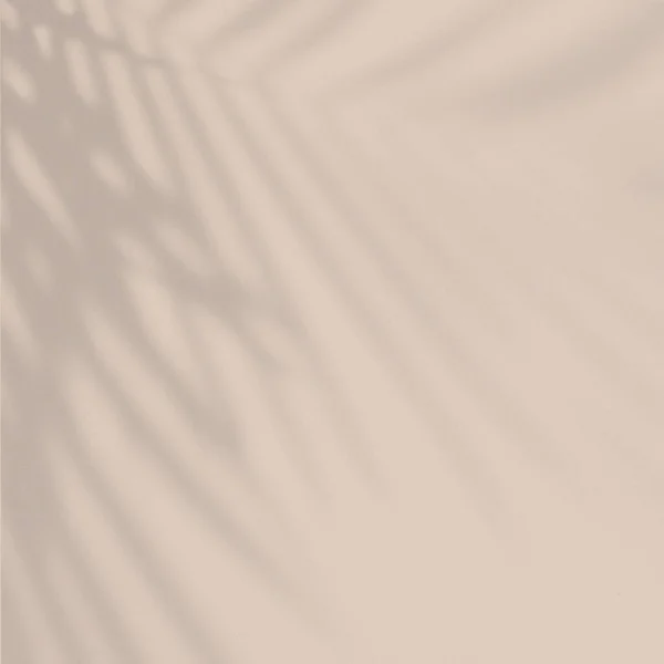 Quadrado Tom Areia Bege Casamento Modelo Banner Fundo Com Sombra — Fotografia de Stock