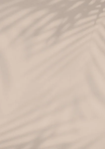 Вертикальный Песок Тон Бежевый Свадебный Шаблон Бумажный Фон Накладываемой Тени — стоковое фото
