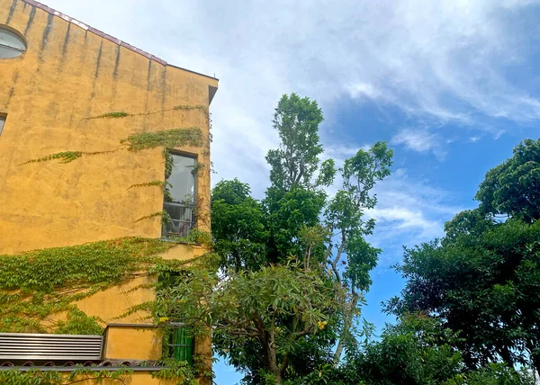 Sarı Duvarı Kırmızı Çatısı Penceresi Kasabadaki Ağacı Olan Renkli Kır — Stok fotoğraf