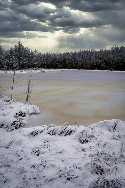 Floresta Lagoa Dia Cinzento Dezembro Luzes Dramáticas Céu — Fotografia de Stock