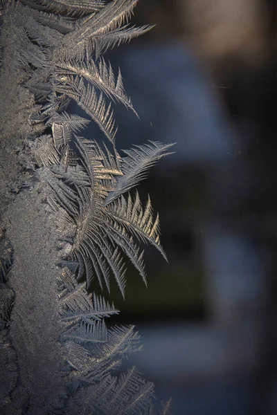 Arte Glaciale Sulla Finestra Inverno Durante Periodo Del Gelo — Foto Stock