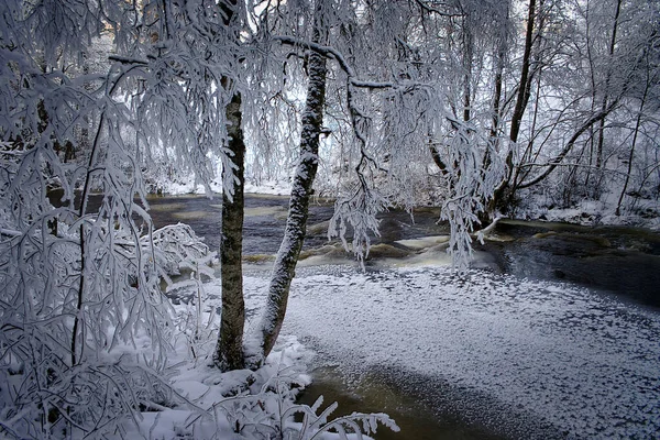 Winter Small River Hoarfrost Trees Its Edge — Stock Fotó